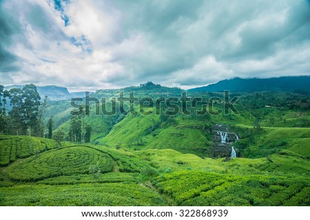 Beautiful st.clairs waterfall landscape in Sri Lanka
