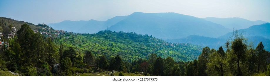 Beautiful Step Farming Areal Panorama Photography From Ranikhet Uttarakhand India