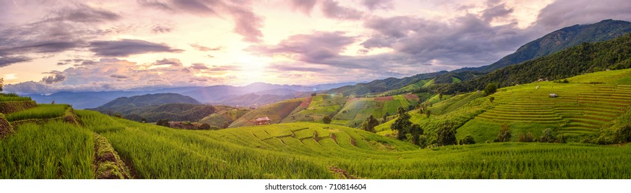Красивый шаг рисовая терраса весло поле на закате и объектива Flare с Панорамным видом в Chiangmai, Таиланд. Chiangmai красивый на природе место в Таиланде, Юго-Восточной Азии. Концепция путешествий.