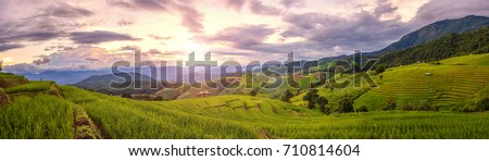 Beautiful step of rice terrace paddle field in sunset and Lens Flare with Panorama View at Chiangmai, Thailand. Chiangmai is beautiful in nature place in Thailand, Southeast Asia. Travel concept.