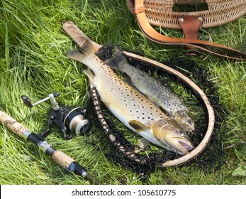 beautiful still life with trout and fishing tools