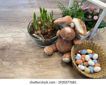 Beautiful Still Life, Wooden Background. Braided Basket With Small Chocolate Eggs. Glass Vase With Green Tulip Bulbs. Leaves Of Plants, Pink Flower And Bird In Wooden Space. Bunny Easter Plush Toy