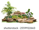 Beautiful stone garden flowers ornamental plants and stones in the garden isolated on white background.