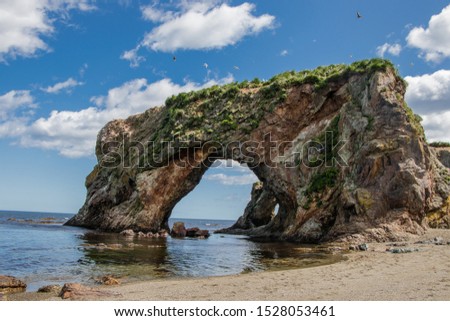 Beautiful stone natural arches. Rock formation, on the top of which gulls live. The coast of the Sea of Okhotsk, Cape Velikan, Sakhalin Island, Russia.