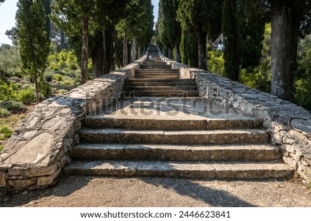 Beautiful stone staircase surrounded by tall pine trees near town of Lumbarda, Croatia, located on Korcula island