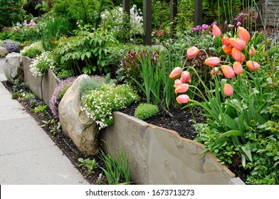 Beautiful Stone Wall, Retaining Garden With Tulips And Flox