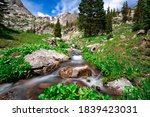 Beautiful Stream With Flowers and Trees in Leadville Colorado Rocky Mountains Long Exposure Bright Blue Sky and Evergreens Water Falling River. Green foliage and rocks surround brook summer vacation