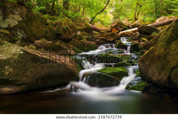 A\
beautiful stream in the forest. Forest cold creek flowing. River\
waterfall on mossy rocks. Forest stream of\
water