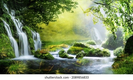 Beautiful stream painting in tropical forest    beautiful natural landscape in the forest 