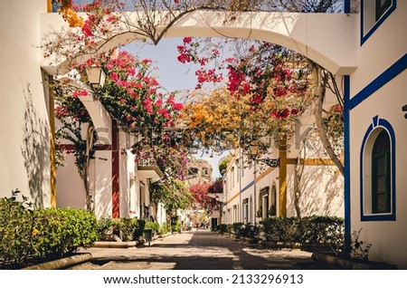 Beautiful street with flowers. Quiet street in a small village with lots of colorful flower bushes and white houses. Paradise summer vibe. Puerto de Mogan, Canary Islands Spain