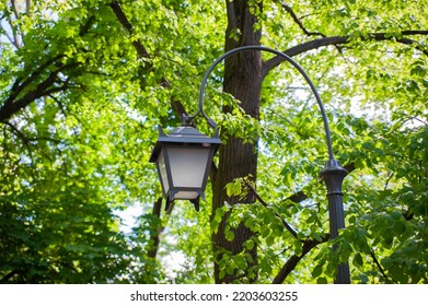 Beautiful Street Light Lamp In Park, Low Angle View