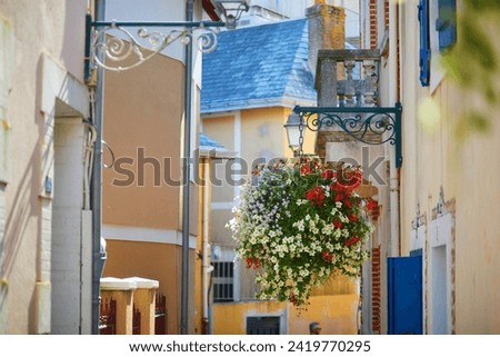 Beautiful streets of Ile Penotte, Les Sables d'0lonne of the department of Vendee, Pays de la Loire, France