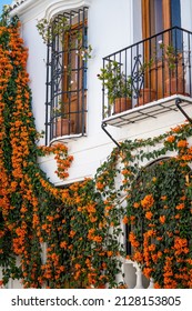 Beautiful streets of Nerja. Typically Andalusian houses. Small streets with white houses and flower pots in balcony. Touristic travel destination on Costa del Sola - Malaga. Beautiful streets of Nerja