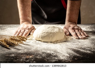 Beautiful and strong men's hands knead the dough from which they will then make bread, pasta or pizza. A cloud of flour flies around like dust. Food concept.