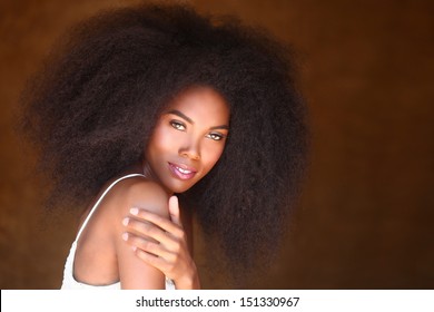 Beautiful Stunning Portrait Of An African American Black Woman With Big Hair