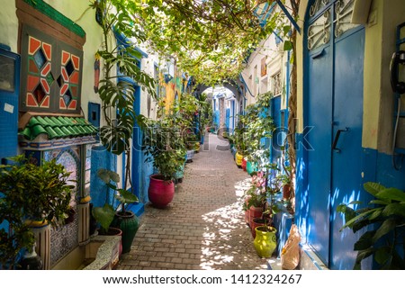A beautiful and suggestive Tangier kasbah with colored walls and doors and a lot of plant and flowers outdoor.