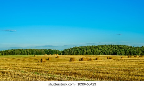 beautiful summer agricultural landscape. a grain field after harvesting with bales of dry straw under a clear blue sky. - Shutterstock ID 1030468423