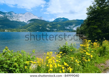 Similar – Image, Stock Photo Trees and rocks in the fog