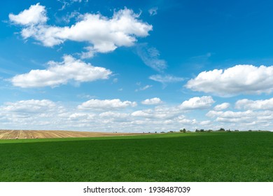 Beautiful summer countryside landscape. Blue sky and fluffy clouds over a rural field with wheat and other cereals. Bales of hay or straw in the field for drying and feeding livestock.