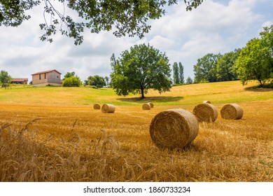 A Beautiful Summer Day In The Countryside Of France