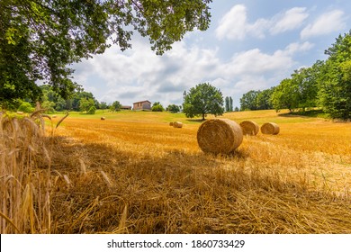 A Beautiful Summer Day In The Countryside Of France