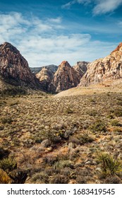 Beautiful Summer Day In Red Rocks Canyon