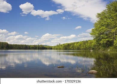 Beautiful Summer Day At Taylor Pond In Mount Vernon Maine.