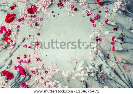 Carnation Flowers Frame Background