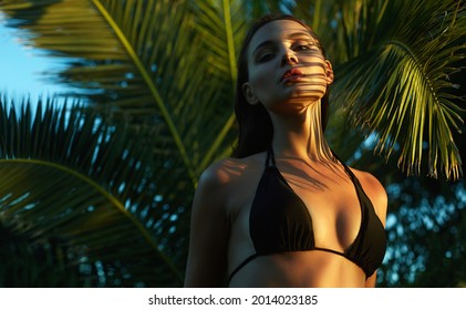 beautiful summer girl in sunset. young sexy woman in bikini under palm tree. Beauty Portrait