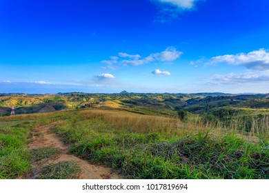 Beautiful summer landscape - Shutterstock ID 1017819694