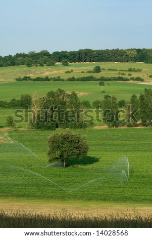 Similar – Courage to leave gaps. Missing trees in an avenue, landscape