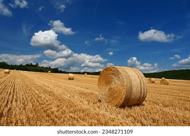 Beautiful summer landscape. Agricultural field. Round bundles of dry grass in the field with bleu sky and sun. Hay bale - haystack. - Powered by Shutterstock