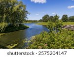 a beautiful summer landscape at Chicago Botanic Garden with a lake, lush green trees, plants and grass, blue sky and clouds in Glencoe Illinois USA