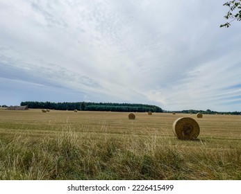 Beautiful summer landscape with farmfields near Wagrowiec in Poland