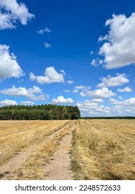 Beautiful summer landscape with farmfields near Wagrowiec in Poland