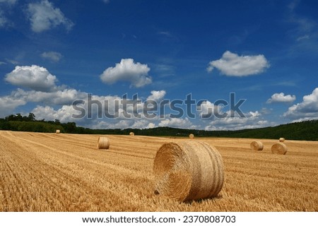Beautiful summer landscape with haystacks - hay bales. Concept for nature, harvest time and end of summer.