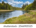 Beautiful summer landscape of a meadow near river and forest with blue sky and clouds. Scenic rural landscape. Autumn natural background in British Columbia Canada. Travel photo, nobody.