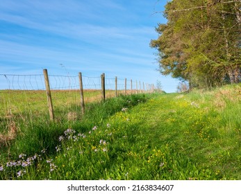 Beautiful Summer Landscape. Path Along Fence With Grass And Wildflowers In Rural Scandinavia. No Visible People. Natural Blue Sky Background With Light Clouds