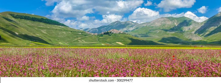 Beautiful summer landscape at Piano Grande (Great Plain) mountain plateau in the Apennine Mountains, Castelluccio di Norcia, Umbria, Italy - Shutterstock ID 300299477