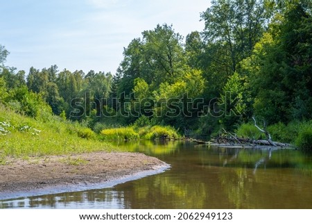 Beautiful summer landscape of the Small Cheremshan river with forest, banks, grass and current. The Ulyanovsk. Wild nature.