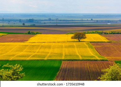 Beautiful Summer Landscape Under Blue Sky With Clouds