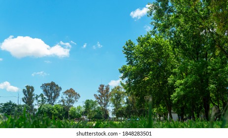 Beautiful Summer Morning In Eva Peron Park, Lomas De Zamora, Buenos Aires