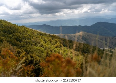 Beautiful Summer Mountain Landscape, Green Hills Of Kopaonik In Serbia. Travel To Balkans