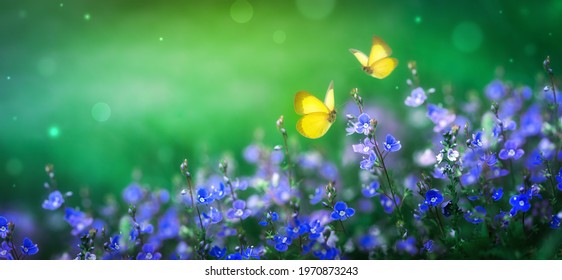 Beautiful summer nature scene with magic blue flowers and flying butterflies on green background. Wild meadow macro landscape.  - Shutterstock ID 1970873243