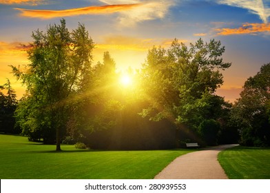 Beautiful Summer Park And Sunset