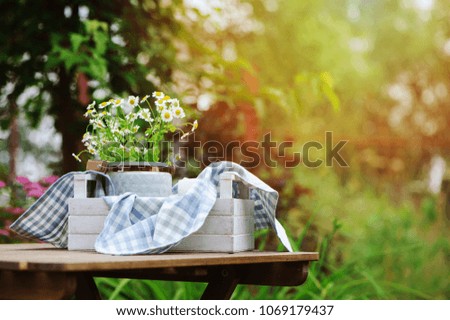 Similar – Wunderschöne Sommerszene mit Blumenstrauß der Kamille