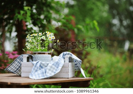 Wunderschöne Sommerszene mit Blumenstrauß der Kamille