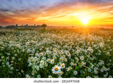 Beautiful Morning Sunrise Images Stock Photos Vectors Shutterstock