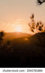 Beautiful Summer Sunset In The Hollywood Hills