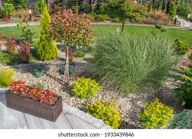  Beautiful Summer Time Large Backyard Garden. Gardening And Landscaping Design Theme.